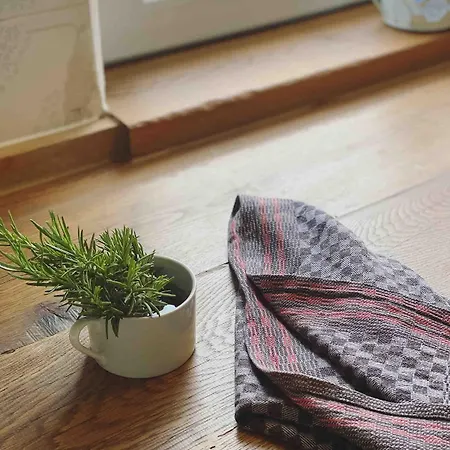 Apartment Casa Loro Mit Meerblick Und Privatem Pool