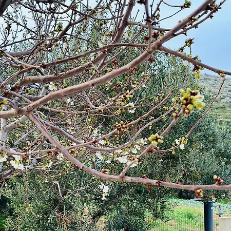Casa Loro Mit Meerblick Und Privatem Pool تروغير